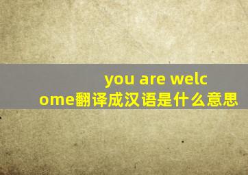 you are welcome翻译成汉语是什么意思